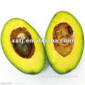 100% natural avocado extract powder